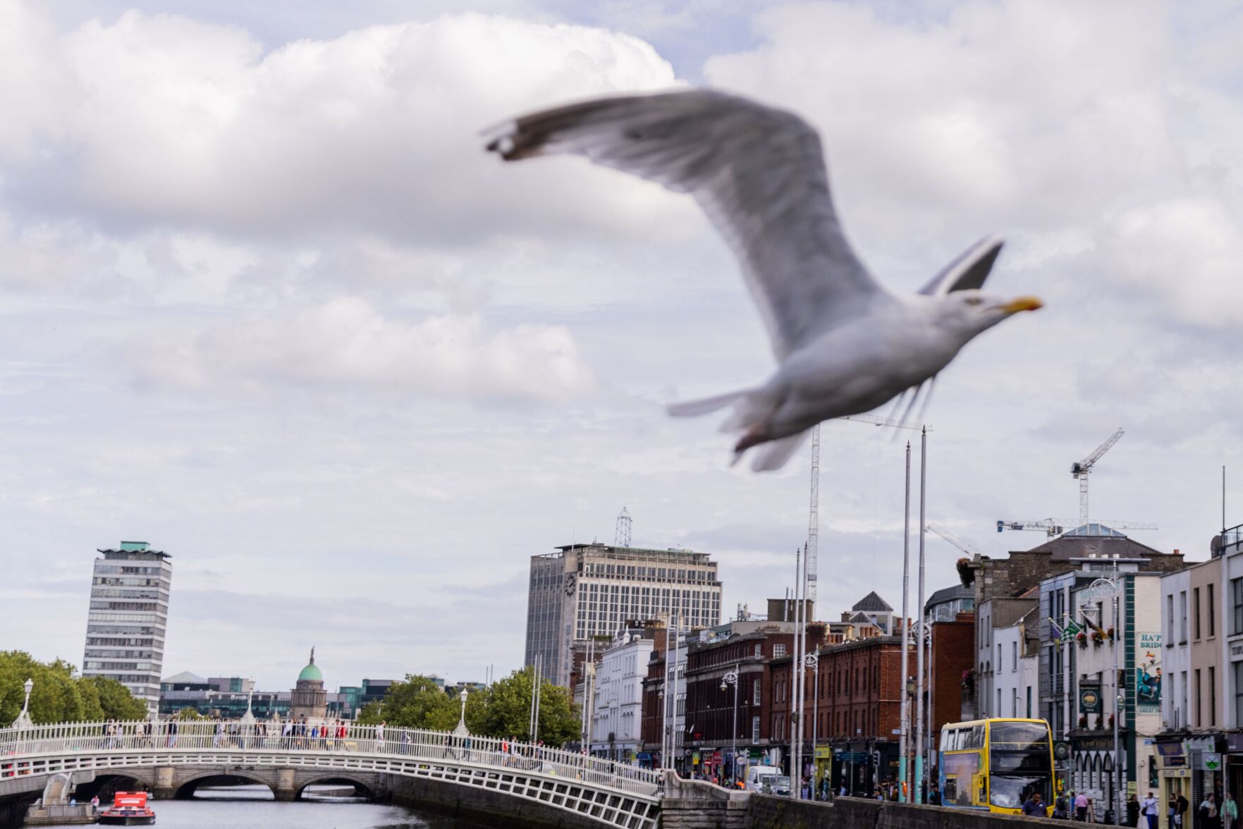082422-owh-spo-ireland-ar04.JPG